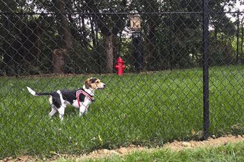 Pet Park at Briar Hills, Omaha, NE